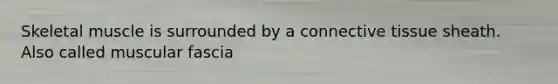Skeletal muscle is surrounded by a connective tissue sheath. Also called muscular fascia