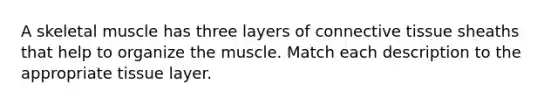 A skeletal muscle has three layers of connective tissue sheaths that help to organize the muscle. Match each description to the appropriate tissue layer.