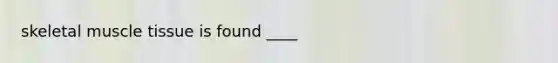 skeletal muscle tissue is found ____
