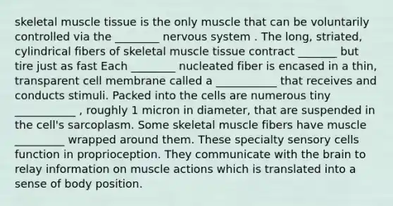 skeletal muscle tissue is the only muscle that can be voluntarily controlled via the ________ nervous system . The long, striated, cylindrical fibers of skeletal muscle tissue contract _______ but tire just as fast Each ________ nucleated fiber is encased in a thin, transparent cell membrane called a ___________ that receives and conducts stimuli. Packed into the cells are numerous tiny ___________ , roughly 1 micron in diameter, that are suspended in the cell's sarcoplasm. Some skeletal muscle fibers have muscle _________ wrapped around them. These specialty sensory cells function in proprioception. They communicate with the brain to relay information on muscle actions which is translated into a sense of body position.