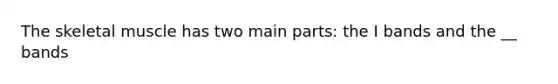 The skeletal muscle has two main parts: the I bands and the __ bands