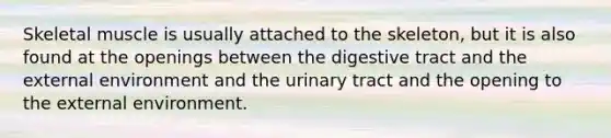 Skeletal muscle is usually attached to the skeleton, but it is also found at the openings between the digestive tract and the external environment and the urinary tract and the opening to the external environment.