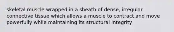 skeletal muscle wrapped in a sheath of dense, irregular connective tissue which allows a muscle to contract and move powerfully while maintaining its structural integrity