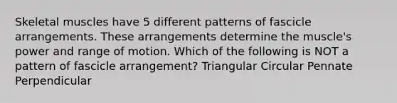 Skeletal muscles have 5 different patterns of fascicle arrangements. These arrangements determine the muscle's power and range of motion. Which of the following is NOT a pattern of fascicle arrangement? Triangular Circular Pennate Perpendicular