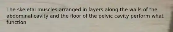 The skeletal muscles arranged in layers along the walls of the abdominal cavity and the floor of the pelvic cavity perform what function