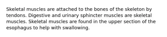 Skeletal muscles are attached to the bones of the skeleton by tendons. Digestive and urinary sphincter muscles are skeletal muscles. Skeletal muscles are found in the upper section of the esophagus to help with swallowing.