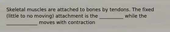 Skeletal muscles are attached to bones by tendons. The fixed (little to no moving) attachment is the __________ while the _____________ moves with contraction