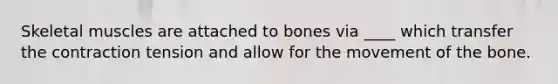 Skeletal muscles are attached to bones via ____ which transfer the contraction tension and allow for the movement of the bone.