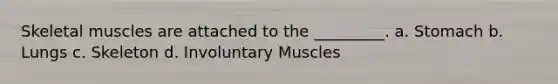 Skeletal muscles are attached to the _________. a. Stomach b. Lungs c. Skeleton d. Involuntary Muscles