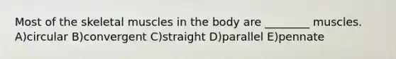 Most of the skeletal muscles in the body are ________ muscles. A)circular B)convergent C)straight D)parallel E)pennate