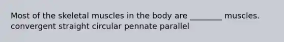 Most of the skeletal muscles in the body are ________ muscles. convergent straight circular pennate parallel