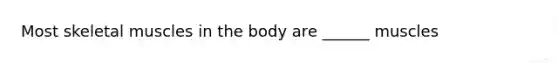 Most skeletal muscles in the body are ______ muscles