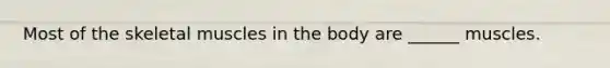 Most of the skeletal muscles in the body are ______ muscles.