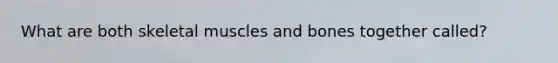 What are both skeletal muscles and bones together called?