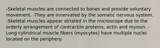 -Skeletal muscles are connected to bones and provide voluntary movement. -They are innervated by the somatic nervous system. -Skeletal muscles appear striated in the microscope due to the orderly arrangement of contractile proteins, actin and myosin. -Long cylindrical muscle fibers (myocytes) have multiple nuclei located on the periphery.