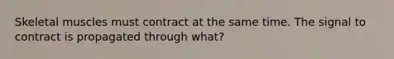 Skeletal muscles must contract at the same time. The signal to contract is propagated through what?