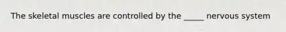 The skeletal muscles are controlled by the _____ nervous system