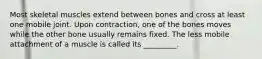 Most skeletal muscles extend between bones and cross at least one mobile joint. Upon contraction, one of the bones moves while the other bone usually remains fixed. The less mobile attachment of a muscle is called its _________.