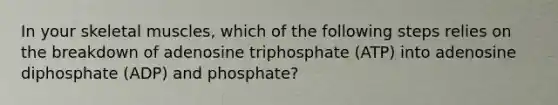 In your skeletal muscles, which of the following steps relies on the breakdown of adenosine triphosphate (ATP) into adenosine diphosphate (ADP) and phosphate?