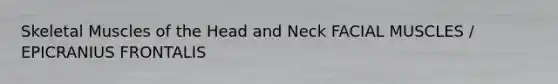 Skeletal Muscles of the Head and Neck FACIAL MUSCLES / EPICRANIUS FRONTALIS