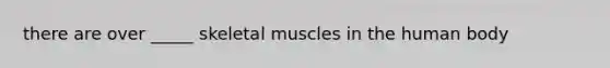 there are over _____ skeletal muscles in the human body