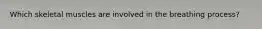 Which skeletal muscles are involved in the breathing process?