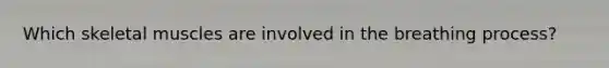 Which skeletal muscles are involved in the breathing process?