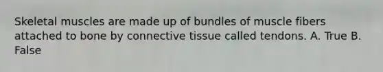 Skeletal muscles are made up of bundles of muscle fibers attached to bone by connective tissue called tendons. A. True B. False