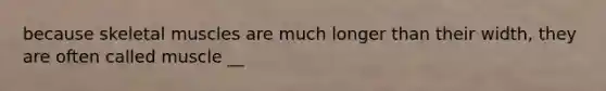 because skeletal muscles are much longer than their width, they are often called muscle __