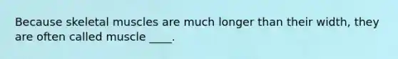 Because skeletal muscles are much longer than their width, they are often called muscle ____.​