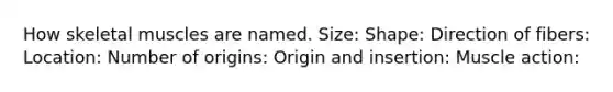 How skeletal muscles are named. Size: Shape: Direction of fibers: Location: Number of origins: Origin and insertion: Muscle action: