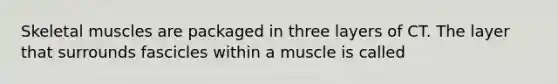 Skeletal muscles are packaged in three layers of CT. The layer that surrounds fascicles within a muscle is called