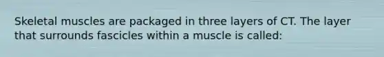 Skeletal muscles are packaged in three layers of CT. The layer that surrounds fascicles within a muscle is called: