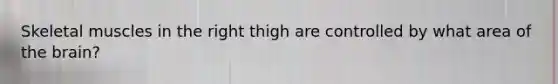 Skeletal muscles in the right thigh are controlled by what area of the brain?