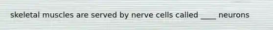 skeletal muscles are served by nerve cells called ____ neurons