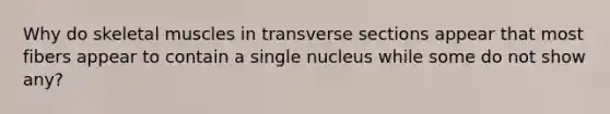 Why do skeletal muscles in transverse sections appear that most fibers appear to contain a single nucleus while some do not show any?