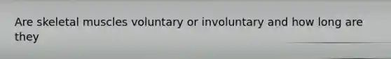 Are skeletal muscles voluntary or involuntary and how long are they