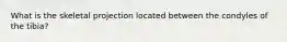 What is the skeletal projection located between the condyles of the tibia?