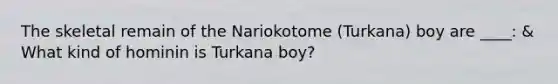 The skeletal remain of the Nariokotome (Turkana) boy are ____: & What kind of hominin is Turkana boy?