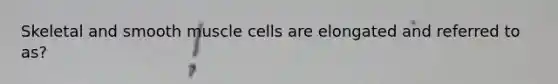 Skeletal and smooth muscle cells are elongated and referred to as?