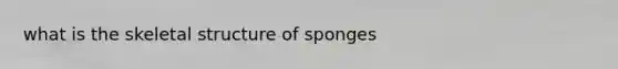 what is the skeletal structure of sponges