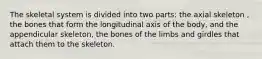 The skeletal system is divided into two parts: the axial skeleton , the bones that form the longitudinal axis of the body, and the appendicular skeleton, the bones of the limbs and girdles that attach them to the skeleton.