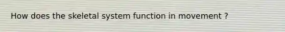 How does the skeletal system function in movement ?