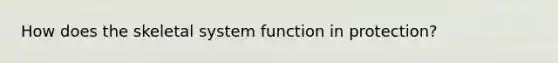 How does the skeletal system function in protection?