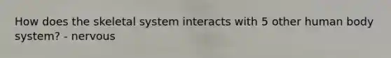 How does the skeletal system interacts with 5 other human body system? - nervous