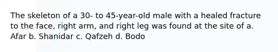 The skeleton of a 30- to 45-year-old male with a healed fracture to the face, right arm, and right leg was found at the site of a. Afar b. Shanidar c. Qafzeh d. Bodo