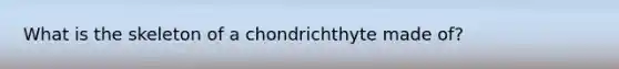 What is the skeleton of a chondrichthyte made of?