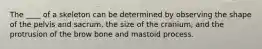 The ____ of a skeleton can be determined by observing the shape of the pelvis and sacrum, the size of the cranium, and the protrusion of the brow bone and mastoid process.