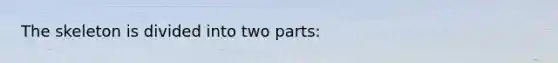 The skeleton is divided into two parts: