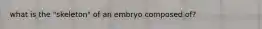 what is the "skeleton" of an embryo composed of?